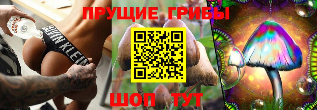 Галлюциногенные грибы Cubensis Рязань