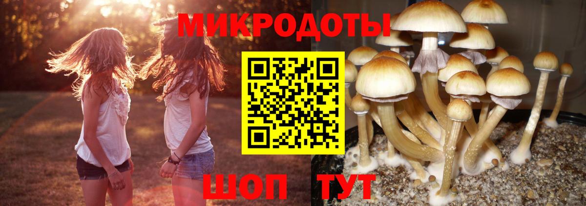купить наркотик  Галлюциногенные грибы мицелий  Вход с VPN  Рязань 